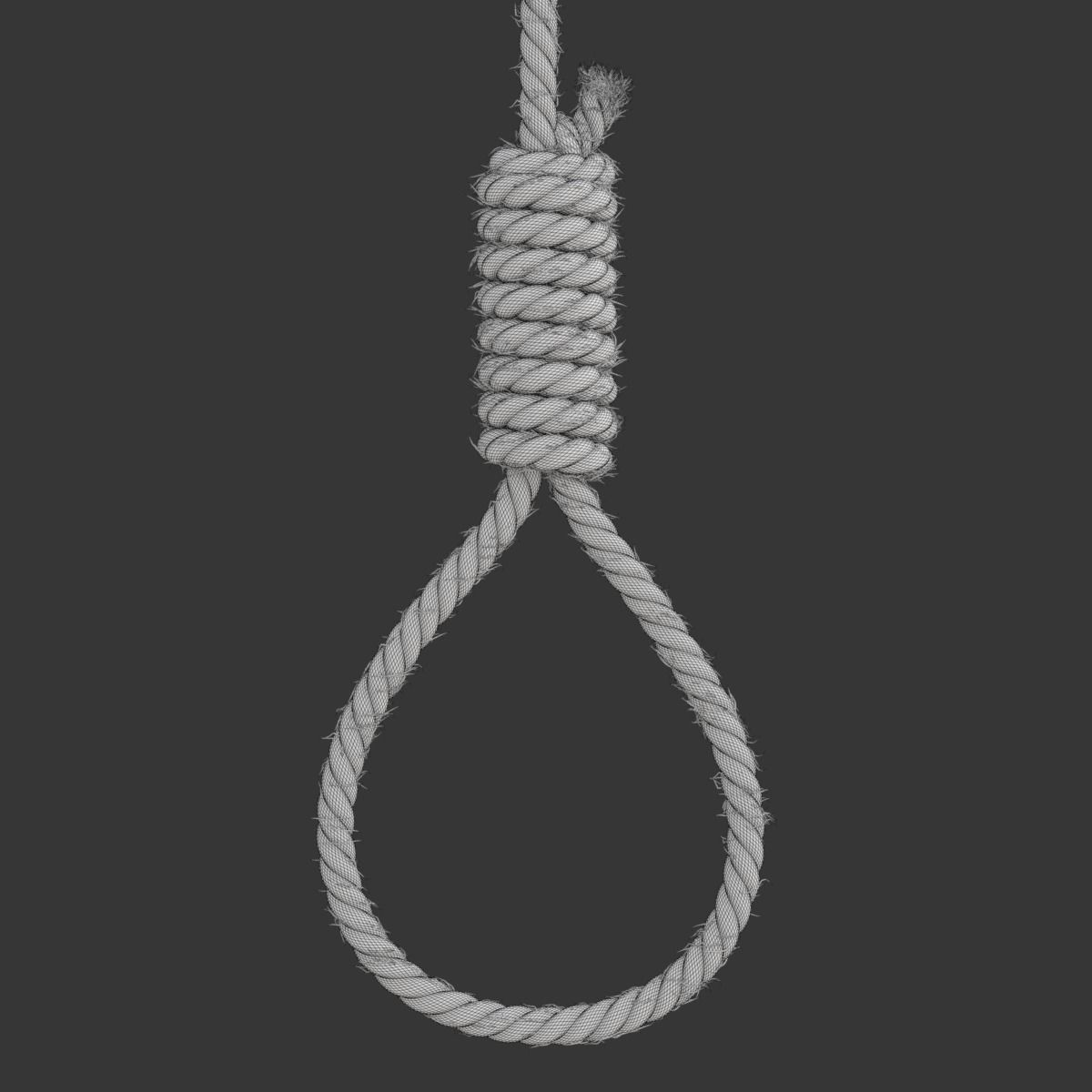 Noose rope with tag hanging from it 3D model_21
