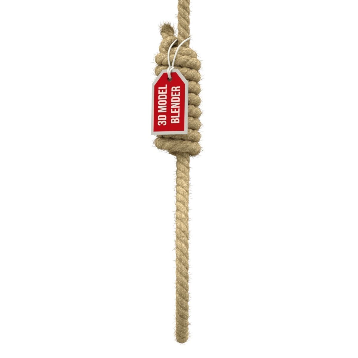 Noose rope with tag hanging from it 3D model_2