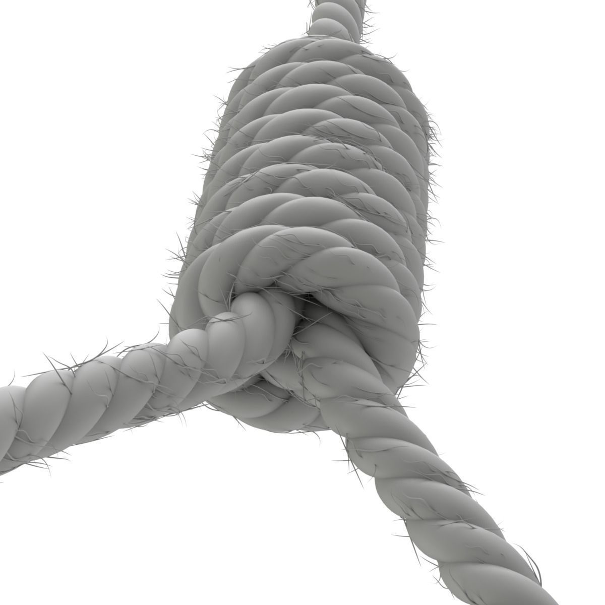 Noose rope with tag hanging from it 3D model_13