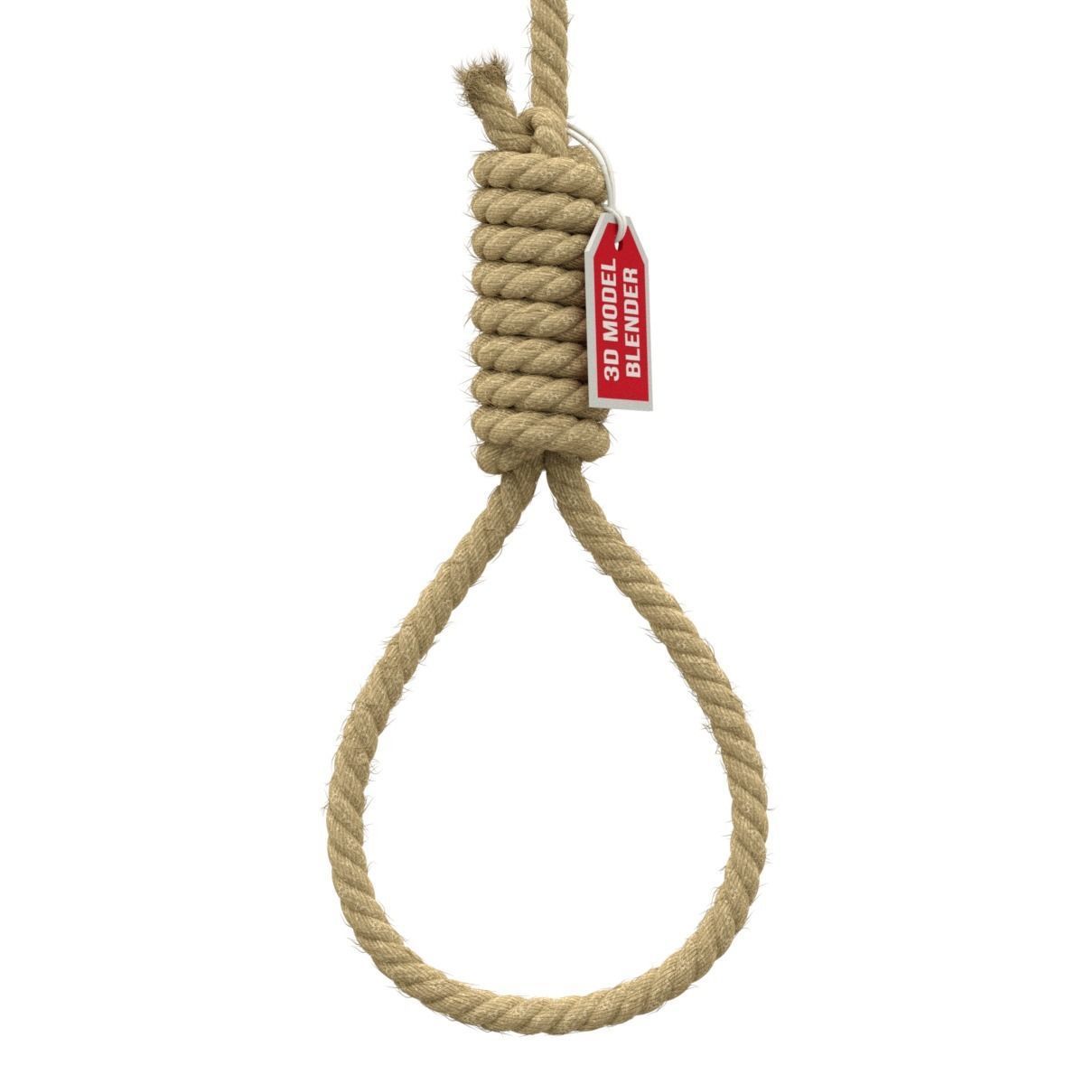 Noose rope with tag hanging from it 3D model_3
