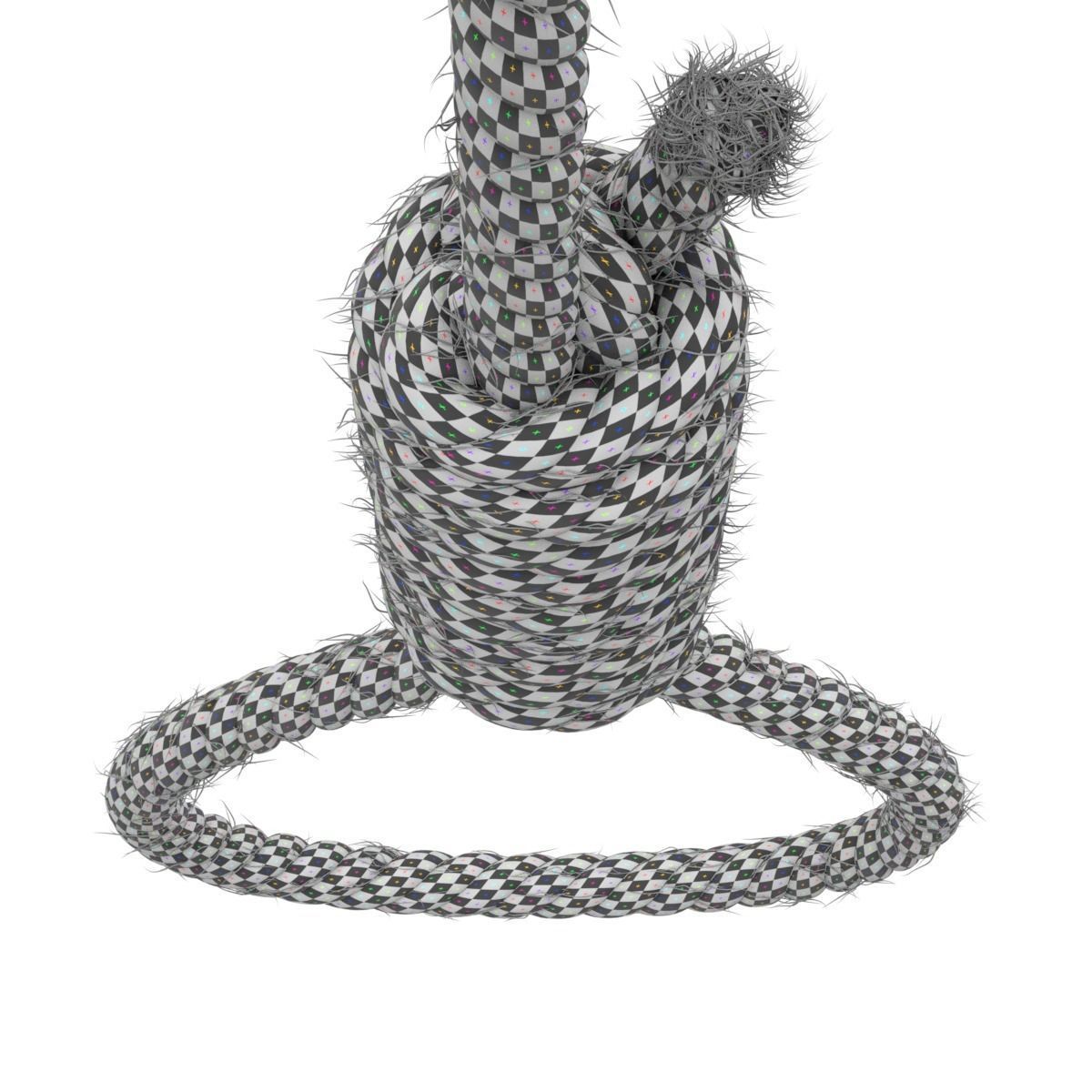 Noose rope with tag hanging from it 3D model_17