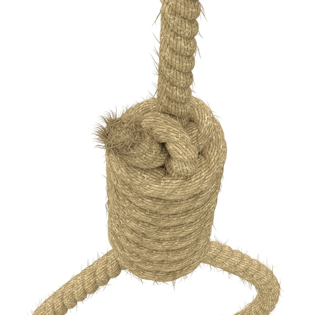 Noose rope with tag hanging from it 3D model_7
