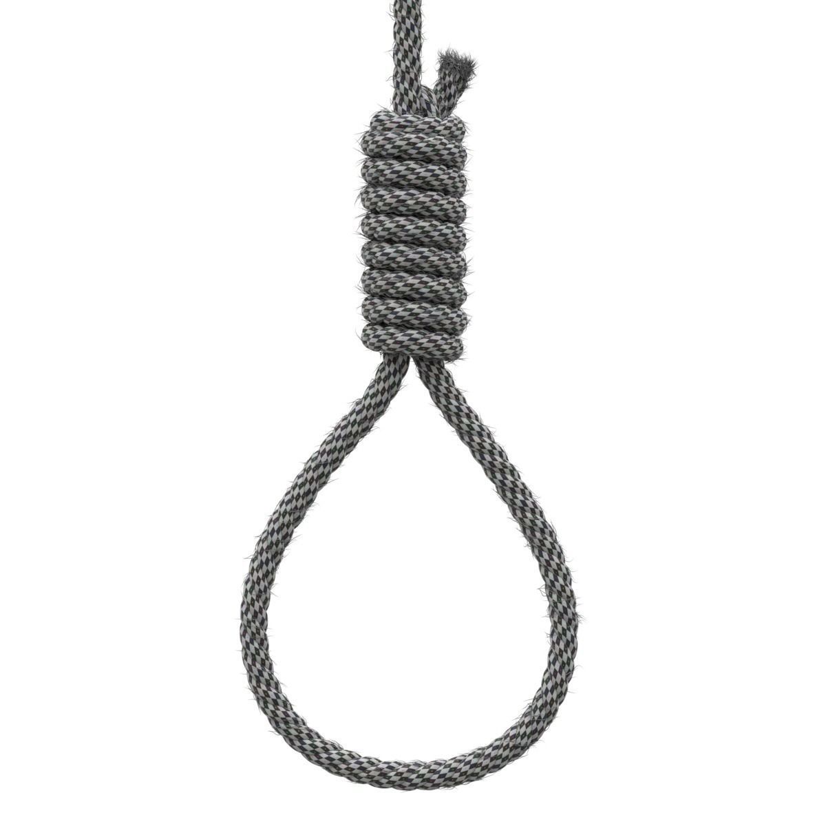 Noose rope with tag hanging from it 3D model_15