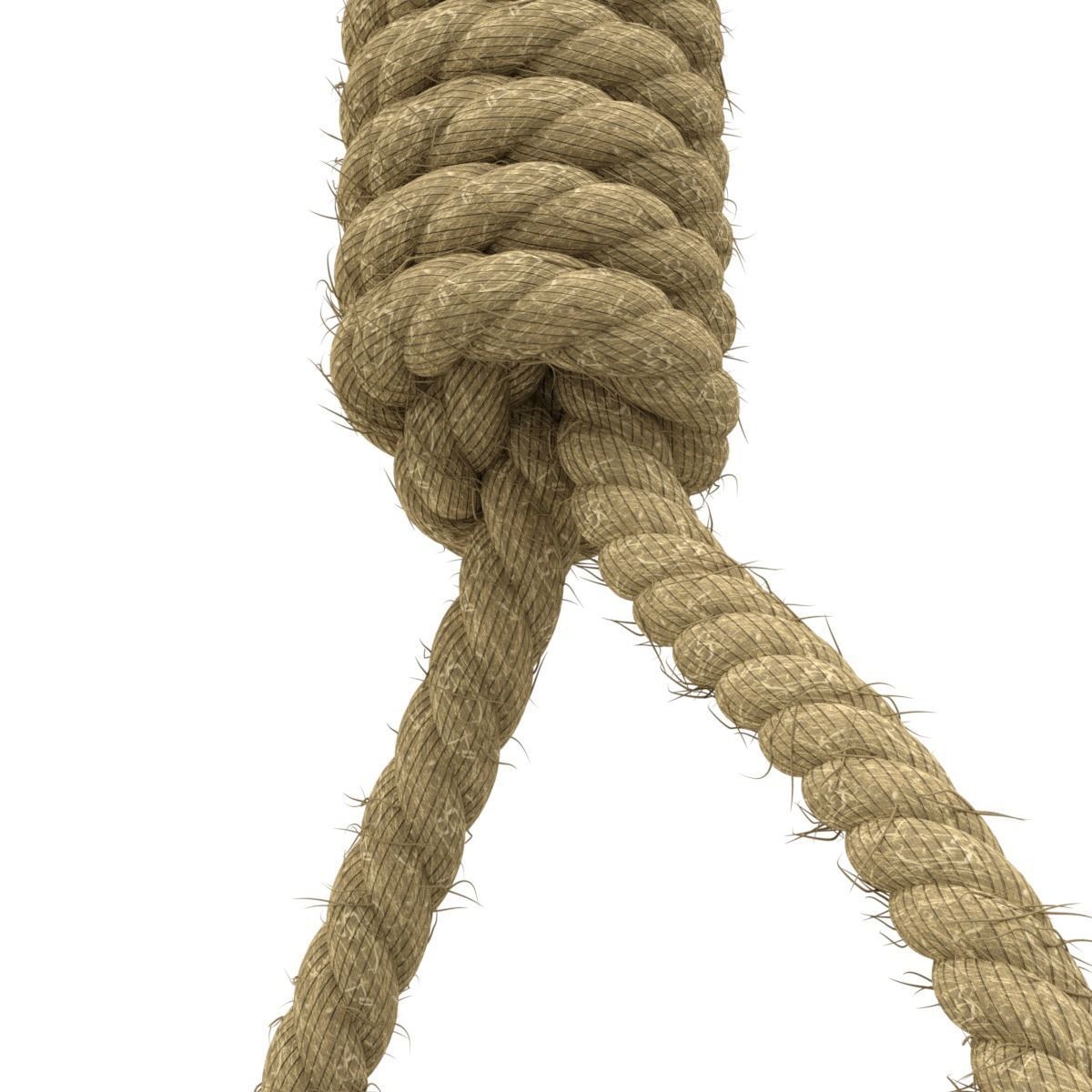 Noose rope with tag hanging from it 3D model_8