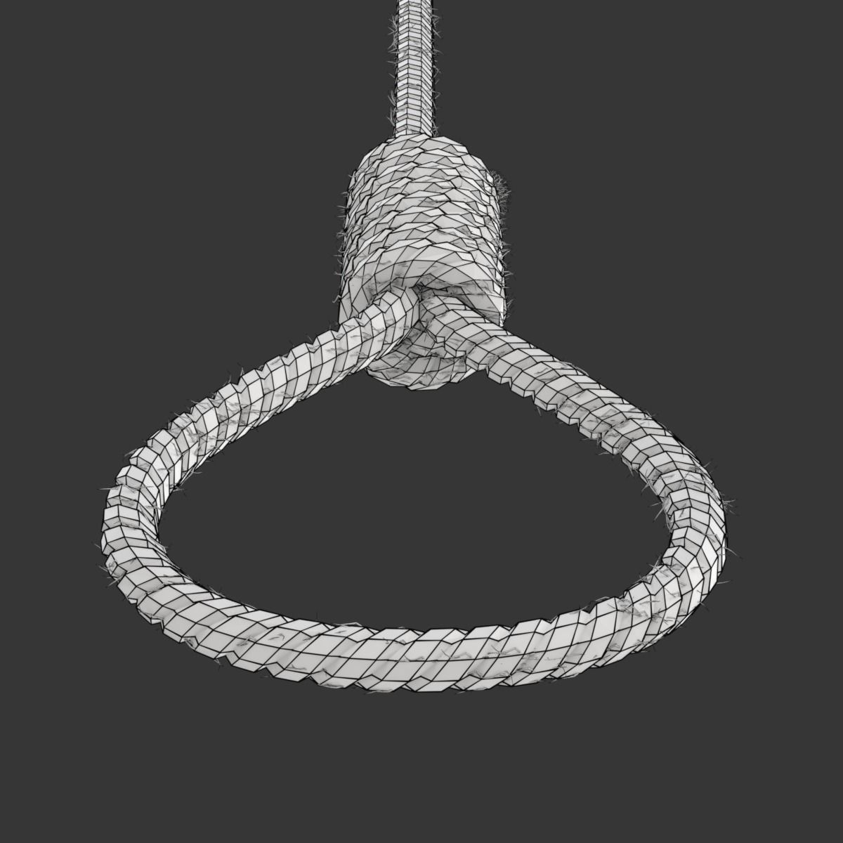 Noose rope with tag hanging from it 3D model_22