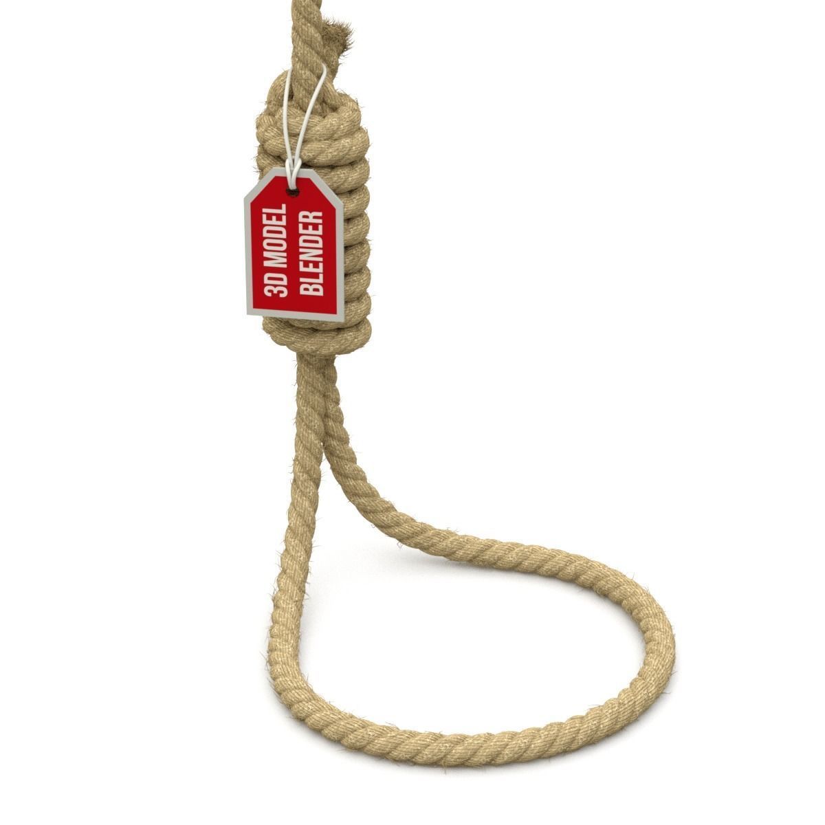 Noose rope with tag hanging from it 3D model_5