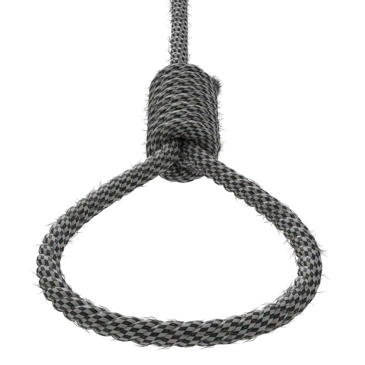 Noose rope with tag hanging from it 3D model_16