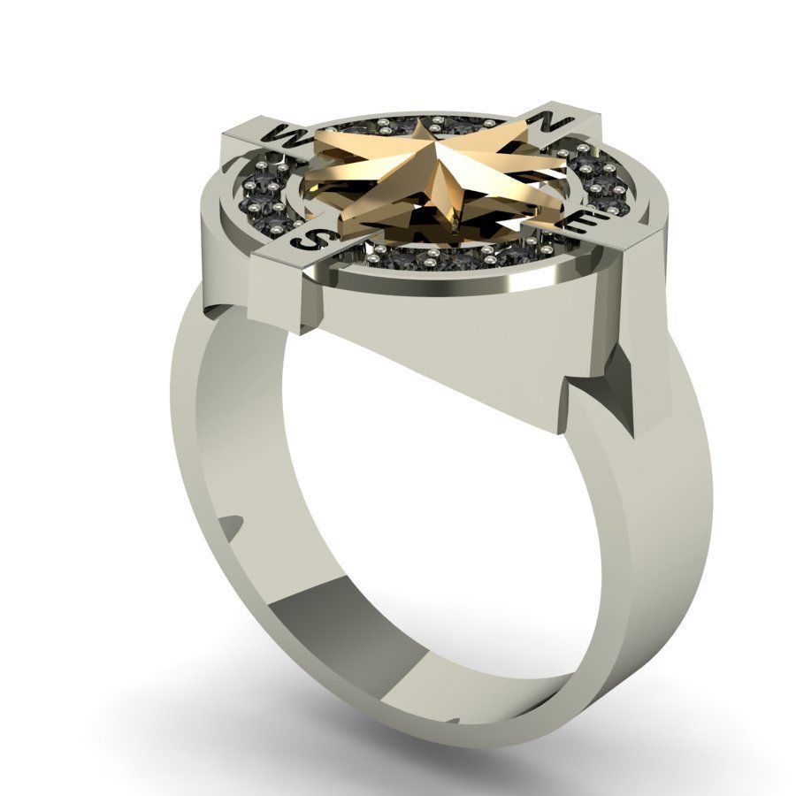  male ring compass  3D print model_3