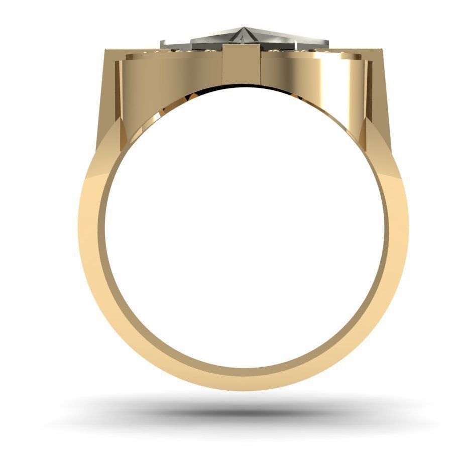  male ring compass  3D print model_5