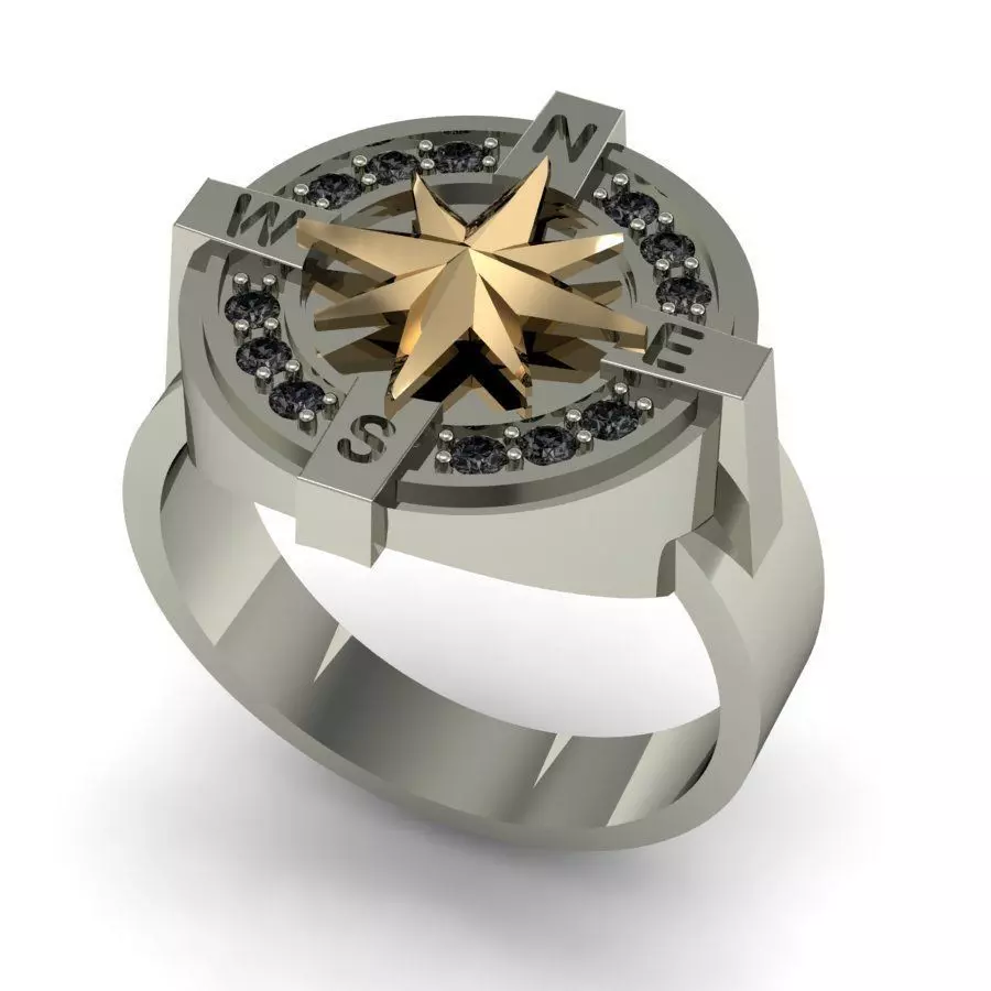  male ring compass  3D print model_0