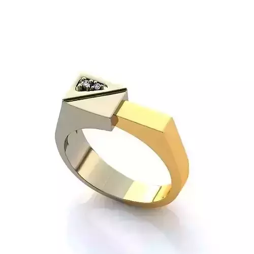 Multi Metal Ring With Diamonds 23