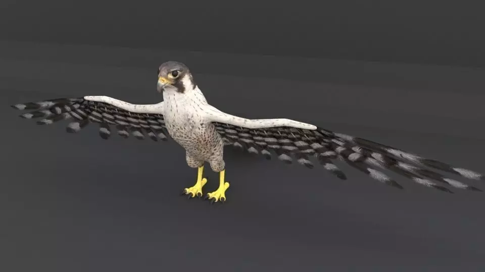 Falcon with wings spread Low-poly 3D model_0