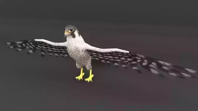 Falcon with wings spread Low-poly 3D model