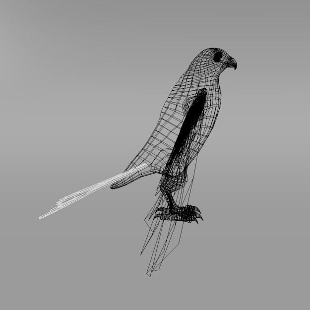Falcon with wings spread Low-poly 3D model_4