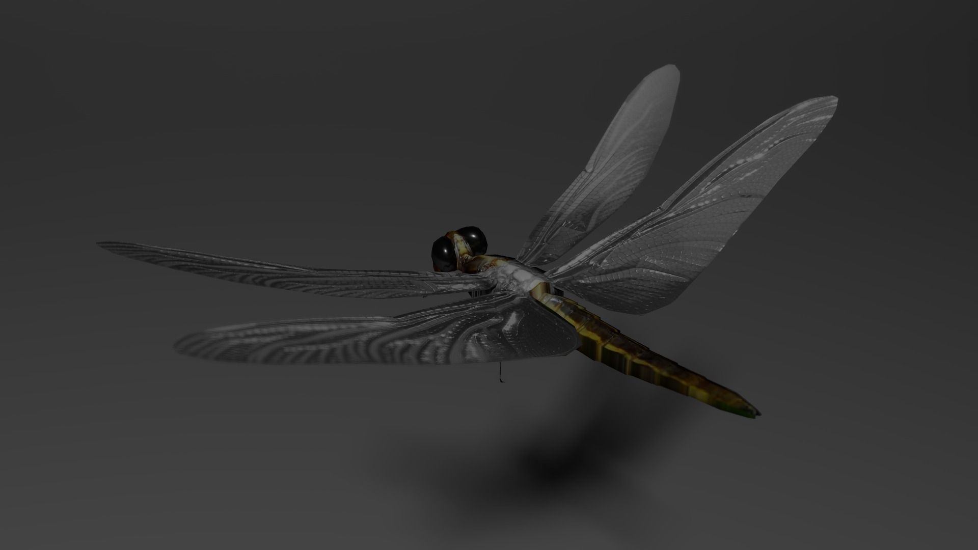 Dragon fly low poly rigged and animated Low-poly 3D model_5