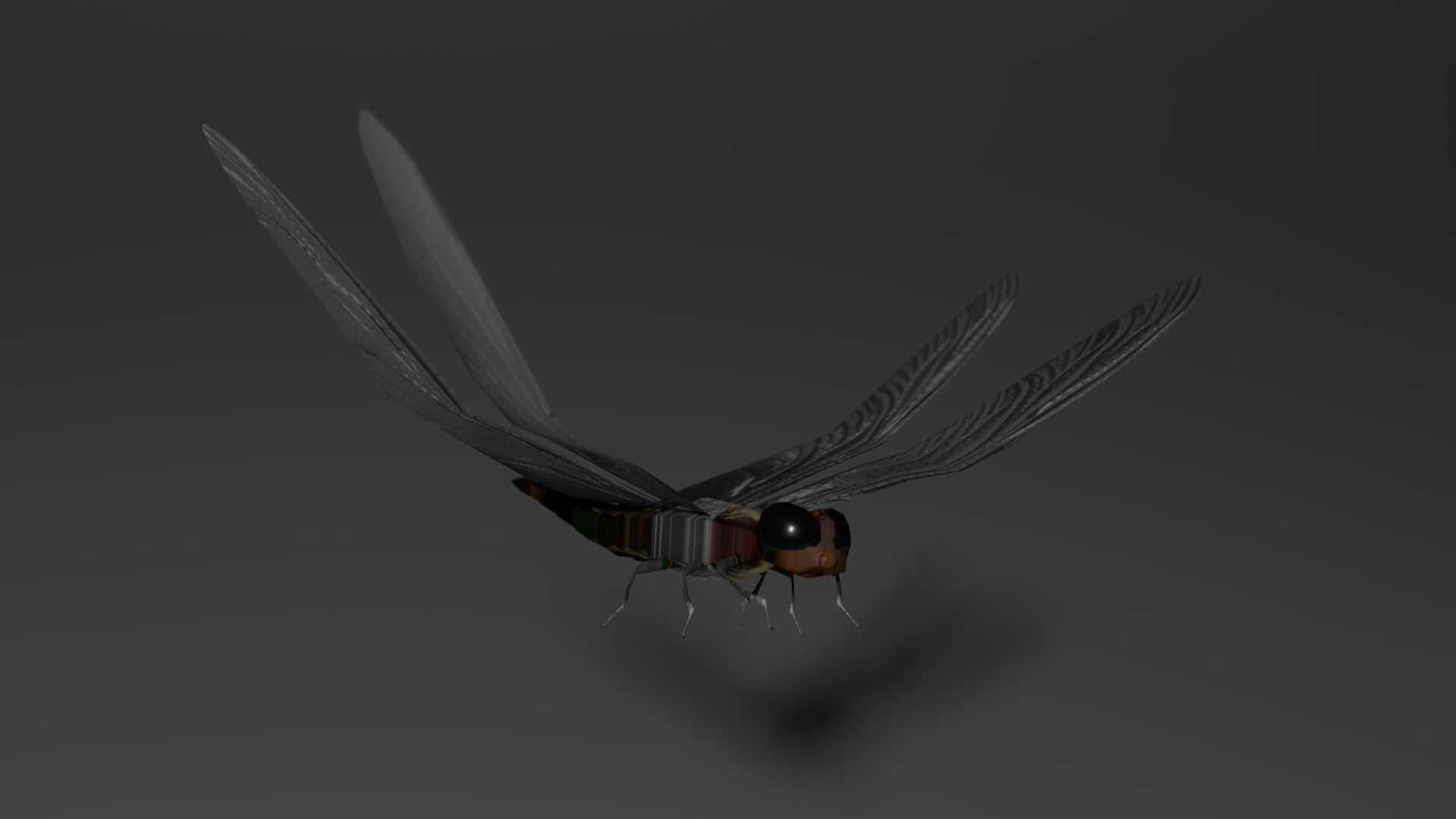 Dragon fly low poly rigged and animated Low-poly 3D model_4