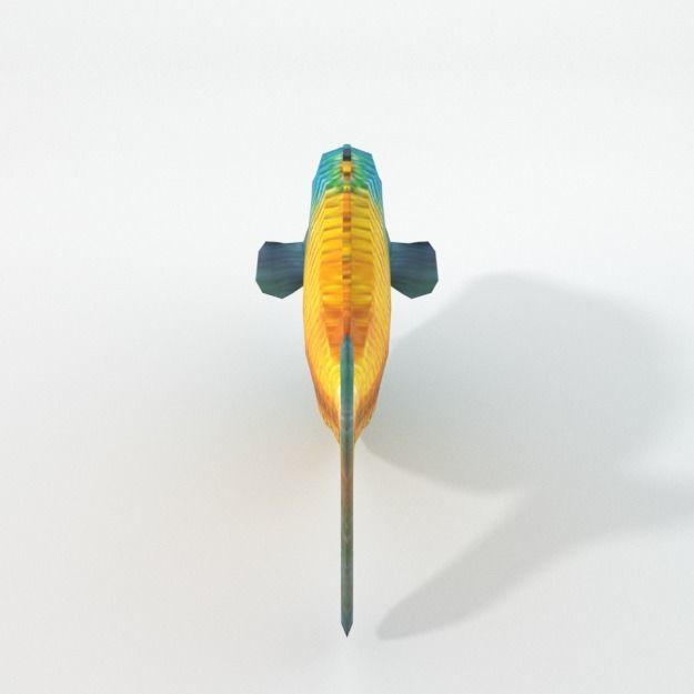 Rainbow Fish Low-poly 3D model_2