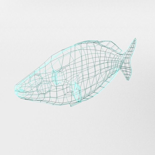 Rainbow Fish Low-poly 3D model_11