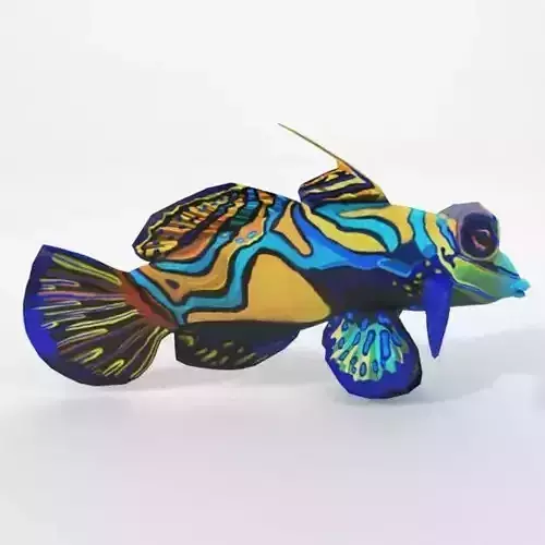 Mandarin fish Low-poly 3D model