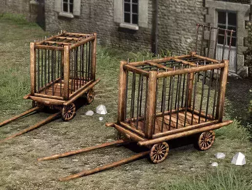 Wooden cart - prison