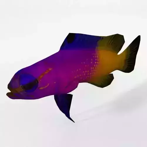 Gramma loreto Low-poly 3D model