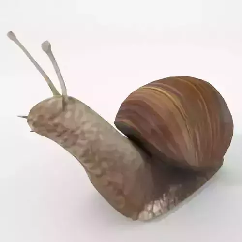 Snail Low-poly 3D model