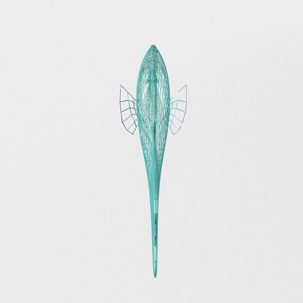 Rainbow Parrotfish Low-poly 3D model_5