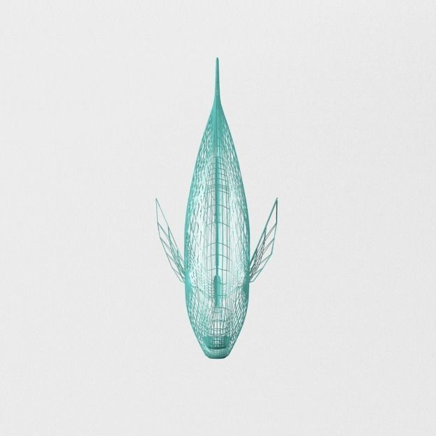 Rainbow Parrotfish Low-poly 3D model_6