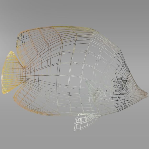Butterfly fish Low-poly 3D model_5