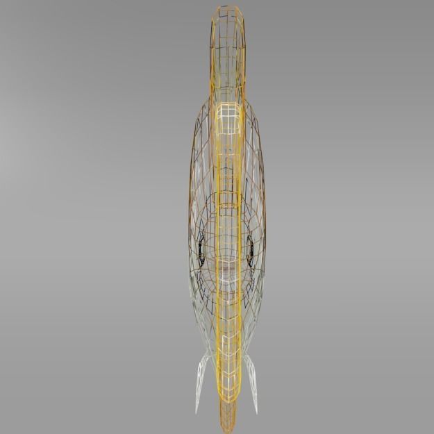 Butterfly fish Low-poly 3D model_4