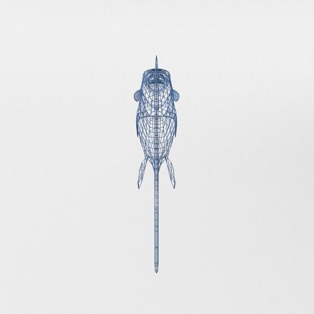 Barracudas fish Low-poly 3D model_6