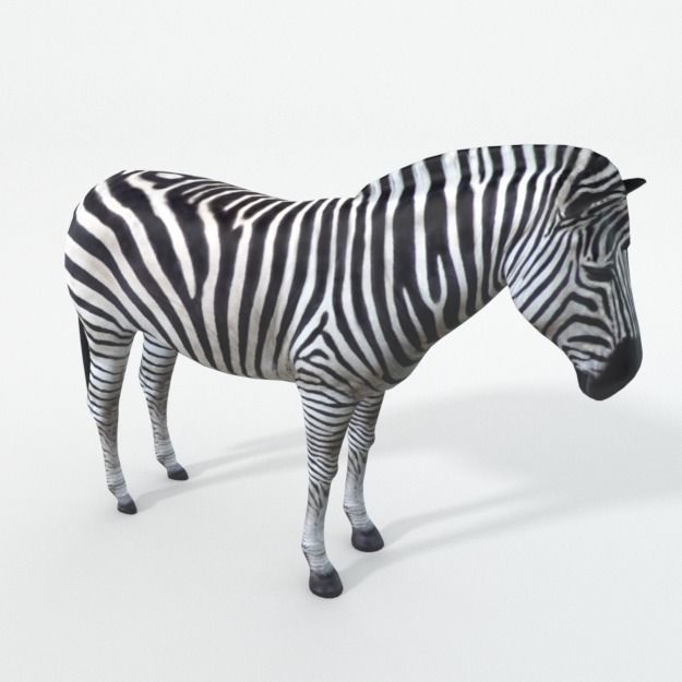 Zebra Low-poly 3D model_1