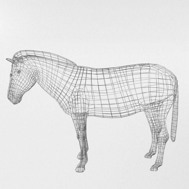 Zebra Low-poly 3D model_5