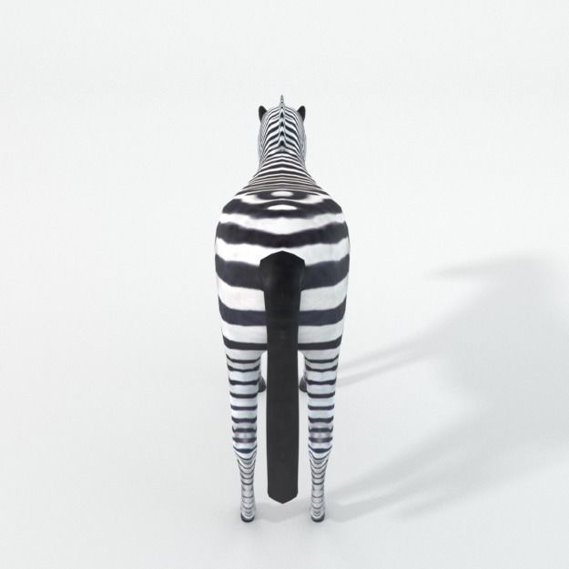 Zebra Low-poly 3D model_2