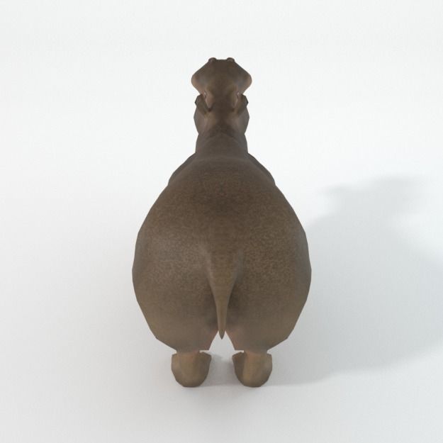 Hippopotamus Low-poly 3D model_4