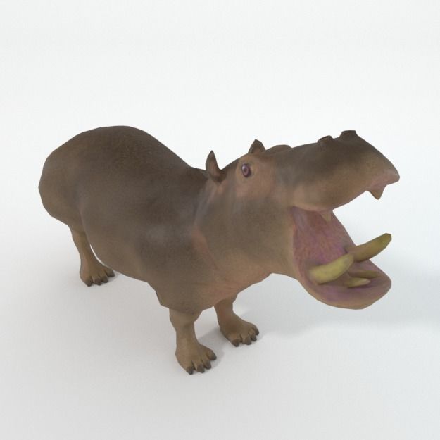 Hippopotamus Low-poly 3D model_1