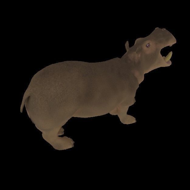 Hippopotamus Low-poly 3D model_2