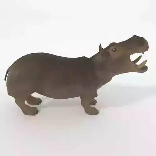 Hippopotamus Low-poly 3D model