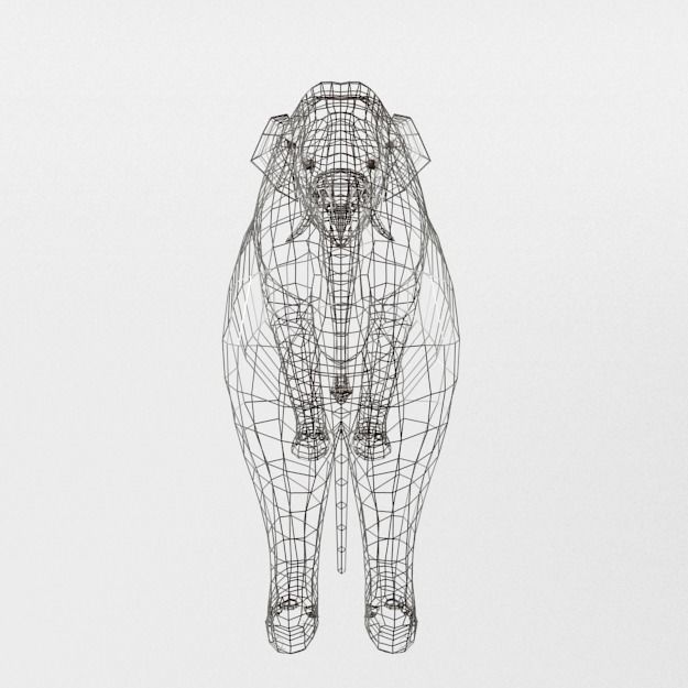 Elephant Low-poly 3D model_4