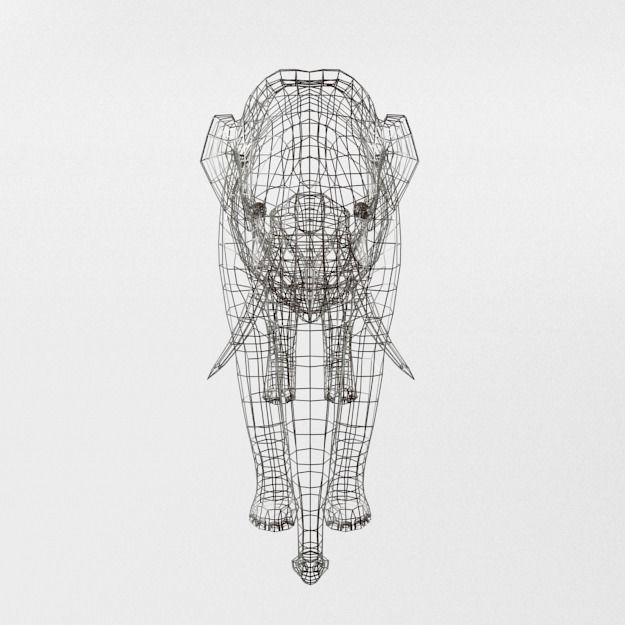 Elephant Low-poly 3D model_5