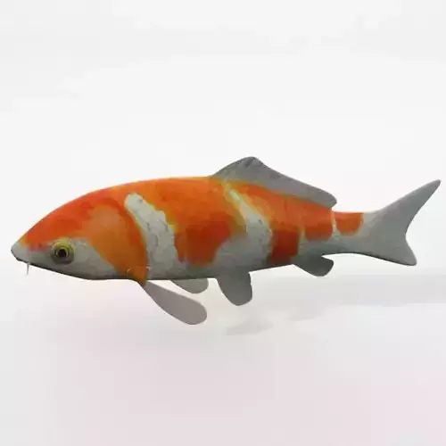 Koi fish Low-poly 3D model