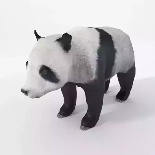 Panda bear Low-poly 3D model