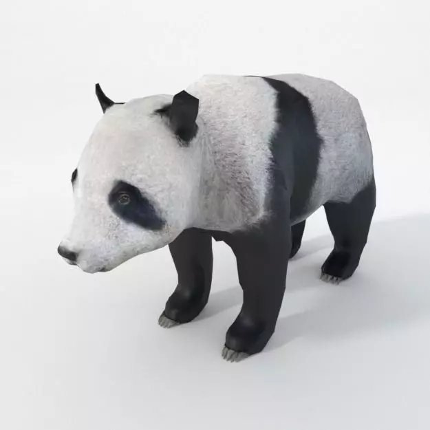 Panda bear Low-poly 3D model_0