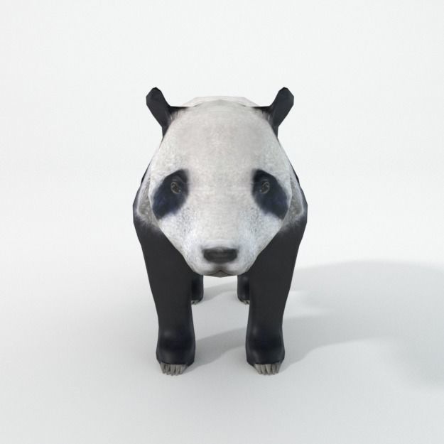 Panda bear Low-poly 3D model_2