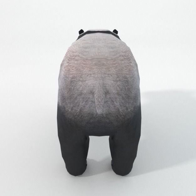 Panda bear Low-poly 3D model_3