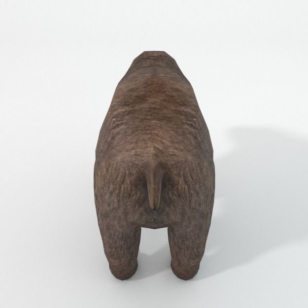 Grizzly bear Low-poly 3D model_3