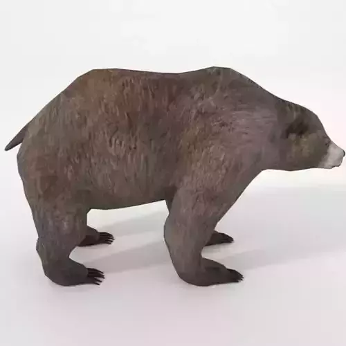 Grizzly bear Low-poly 3D model