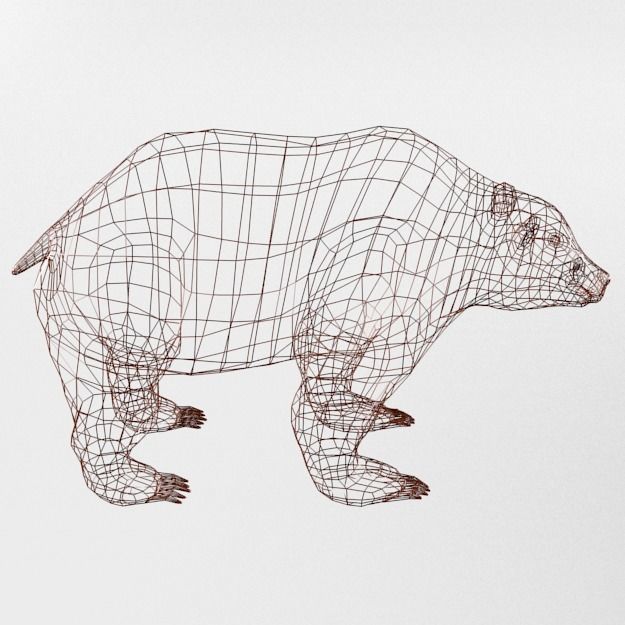 Grizzly bear Low-poly 3D model_6