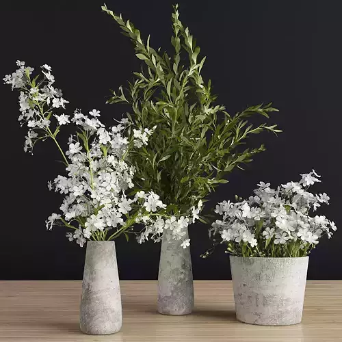Plants Set three concrete vases with flowers