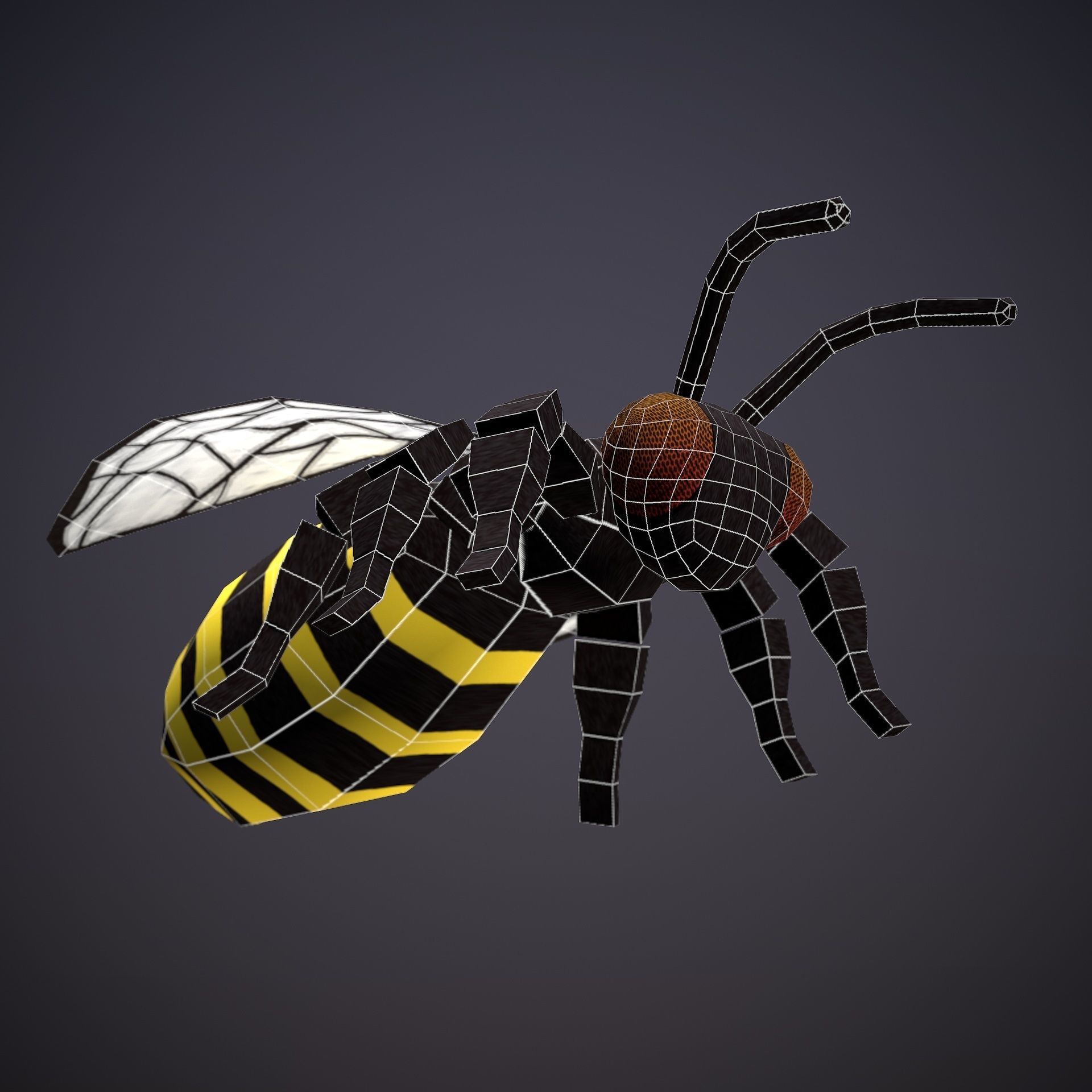 HIE Game ready Bee D180813 Low-poly 3D model_5